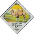 Colnect-903-586-Bactrian-Camel-Camelus-bactrianus.jpg