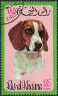 Colnect-978-205-Beagle-Canis-lupus-familiaris.jpg