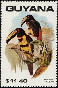 Colnect-1664-565-Collared-Aracari-Pteroglossus-torquatus.jpg