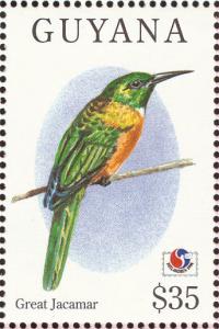 Colnect-1664-214-Great-Jacamar-Jacamerops-aureus.jpg