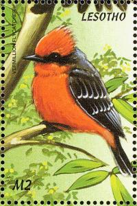 Colnect-1725-630-Vermilion-Flycatcher-Pyrocephalus-rubinus.jpg