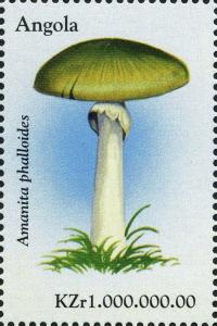 Colnect-2979-944-Death-Cap-Amanita-phalloides.jpg