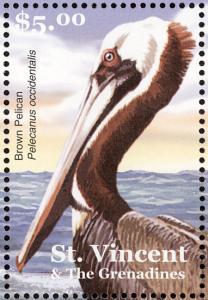 Colnect-1748-212-Brown-pelican-Pelecanus-occidentalis.jpg