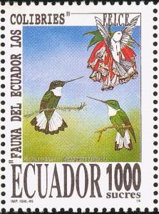 Colnect-1724-481-Collared-Inca-nbsp-Coeligena-torquata-.jpg