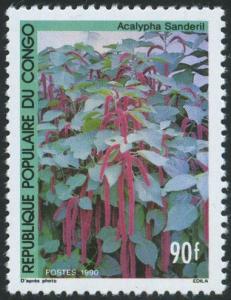 Colnect-4159-366-Acalypha-sanderil.jpg