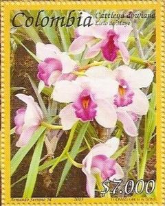 Colnect-3327-436-Cattleya-dowiana.jpg