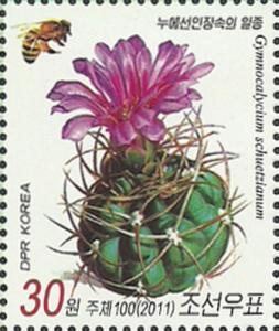 Colnect-2954-892-Gymnocalycium-schuetzianum.jpg