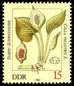 Colnect-1981-859-Calla-palustris.jpg