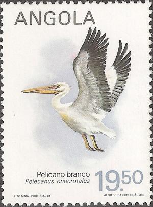 Colnect-1107-828-Rosy-Pelican-Pelecanus-onocrotalus.jpg