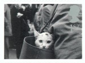 Colnect-123-459-Cat-in-Handbag.jpg