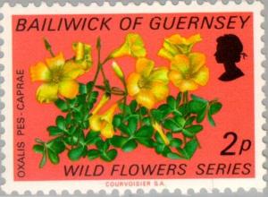 Colnect-125-580-Oxalis-pes-caprae---Bermuda-Buttercup.jpg