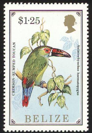 Colnect-1594-419-Crimson-rumped-Toucanet-Aulacorhynchus-haematopygus-.jpg