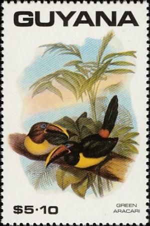 Colnect-1664-554-Green-Aracari-Pteroglossus-viridis.jpg