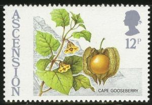 Colnect-1690-424-Cape-Gooseberry.jpg