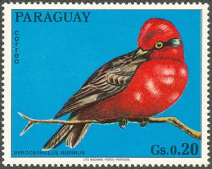 Colnect-1724-412-Vermilion-Flycatcher-Pyrocephalus-rubinus.jpg