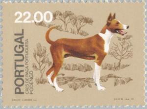 Colnect-175-127-Podengo-Canis-lupus-familiaris.jpg