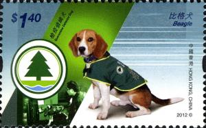 Colnect-1824-024-Beagle-Canis-lupus-familiaris.jpg