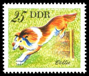 Colnect-1979-923-Collie-Canis-lupus-familiaris.jpg