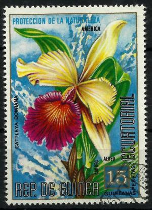 Colnect-2100-737-Cattleya-dowiana.jpg