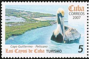 Colnect-2138-147-Brown-Pelican-Pelecanus-occidentalis-Cayo-Guillermo.jpg