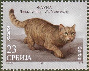 Colnect-2168-351-Wildcat-Felis-silvestris.jpg