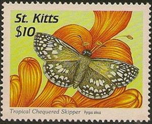 Colnect-2174-124-Tropical-checkered-skipper.jpg