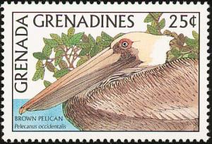 Colnect-2193-343-Brown-Pelican-Pelecanus-occidentalis.jpg