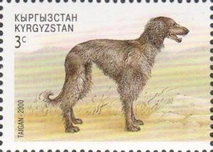 Colnect-2749-670-Taigan-Canis-lupus-familiaris.jpg