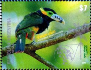 Colnect-3125-966-Spot-billed-Toucanet-Selenidera-maculirostris.jpg