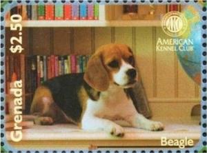 Colnect-3278-351-Beagle-Canis-lupus-familiaris.jpg