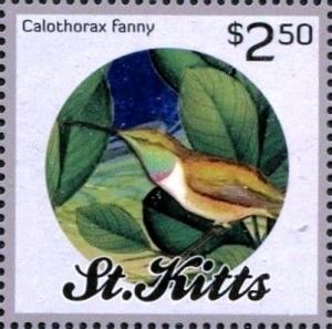 Colnect-3483-486-Calothorax-fanny.jpg