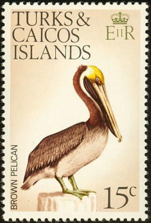 Colnect-3991-034-Brown-Pelican-Pelecanus-Occidentalis.jpg