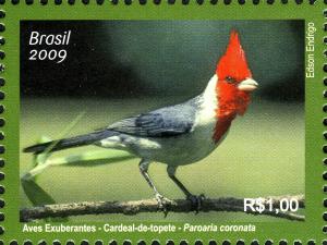 Colnect-450-158-Red-crested-Cardinal-Paroaria-coronata.jpg