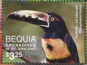 Colnect-4555-354-Collared-Aracari-Pteroglossus-torquatus.jpg