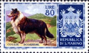 Colnect-481-581-Collie-Canis-lupus-familiaris.jpg