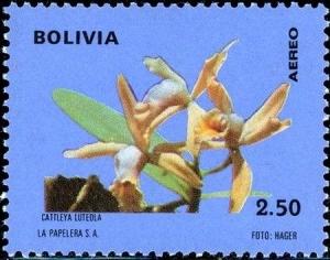 Colnect-5087-027-Cattleya-luteola.jpg