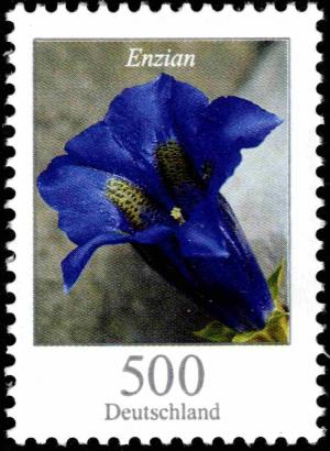 Colnect-5191-627-Gentiana-acaulis---Stemless-Gentian.jpg