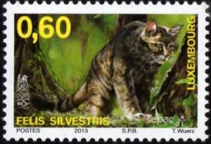 Colnect-5234-210-Wildcat-Felis-silvestris.jpg