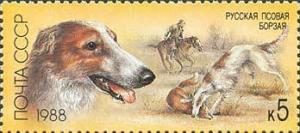 Colnect-581-786-Borzoi-Canis-lupus-familiaris.jpg