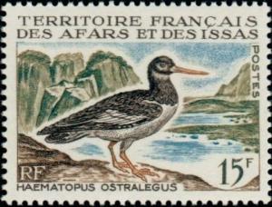 Colnect-792-277-Eurasian-Oystercatcher-Haematopus-ostralegus.jpg