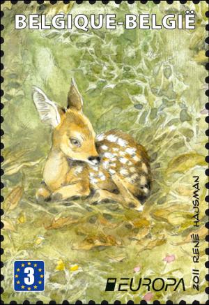 Colnect-853-456-Fawn-Capreolus-capreolus.jpg