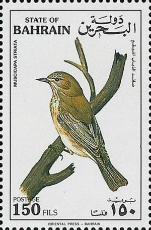 Colnect-854-626-Spotted-Flycatcher-Muscicapa-striata.jpg