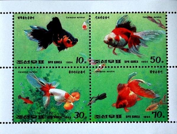 Colnect-2678-263-Goldfish-Carassius-auratus-auratus.jpg