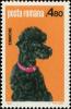 Colnect-4266-443-Poodle-Canis-lupus-familiaris.jpg