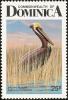 Colnect-1788-019-Brown-Pelican-Pelecanus-occidentalis.jpg