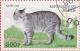 Colnect-1273-046-Wildcat-Felis-silvestris.jpg