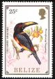 Colnect-1594-417-Collared-Aracari-Pteroglossus-torquatus.jpg