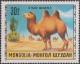 Colnect-1789-758-Bactrian-Camel-Camelus-bactrianus.jpg