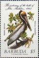 Colnect-2056-919-Brown-Pelican-Pelecanus-occidentalis.jpg