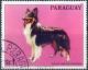 Colnect-2321-621-Collie-Canis-lupus-familiaris.jpg